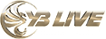 YB